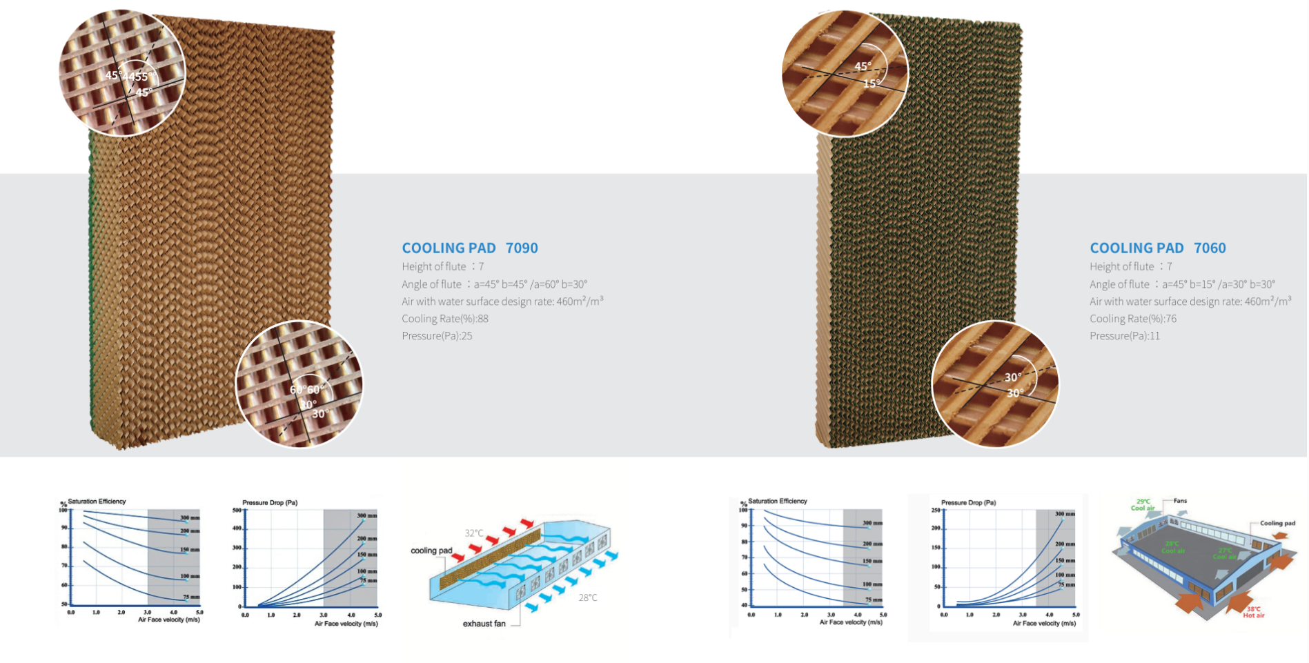 screenshot 2026 02 19 193802